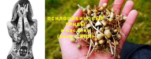 спайс Кулебаки