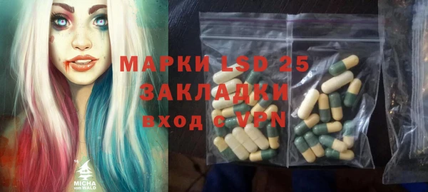 спайс Кулебаки