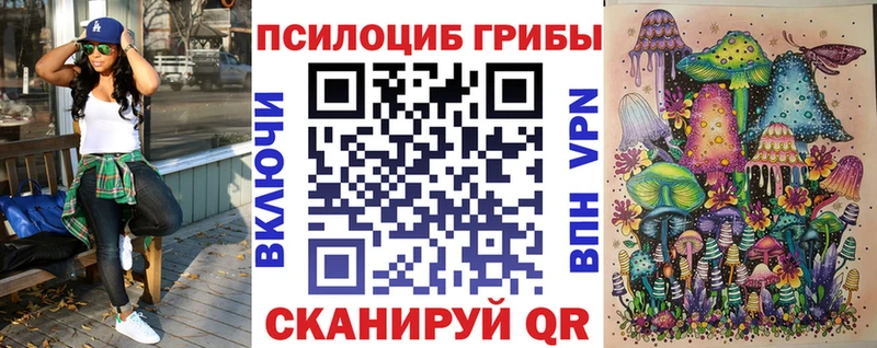 Псилоцибиновые грибы Psilocybe  купить  цена  Хабаровск 